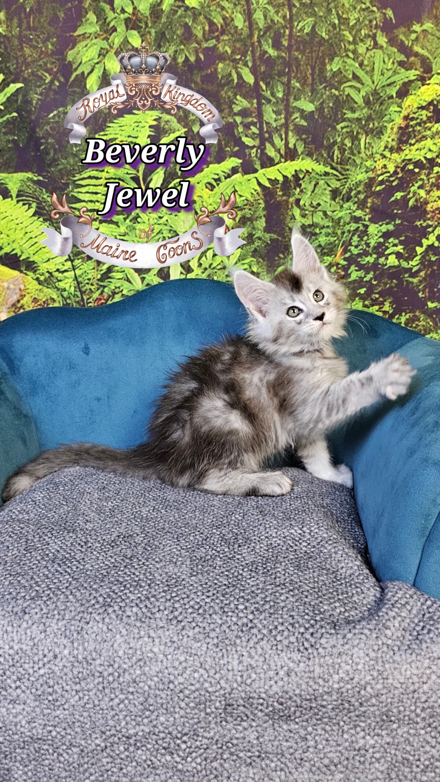 photocollage_2025101412410972