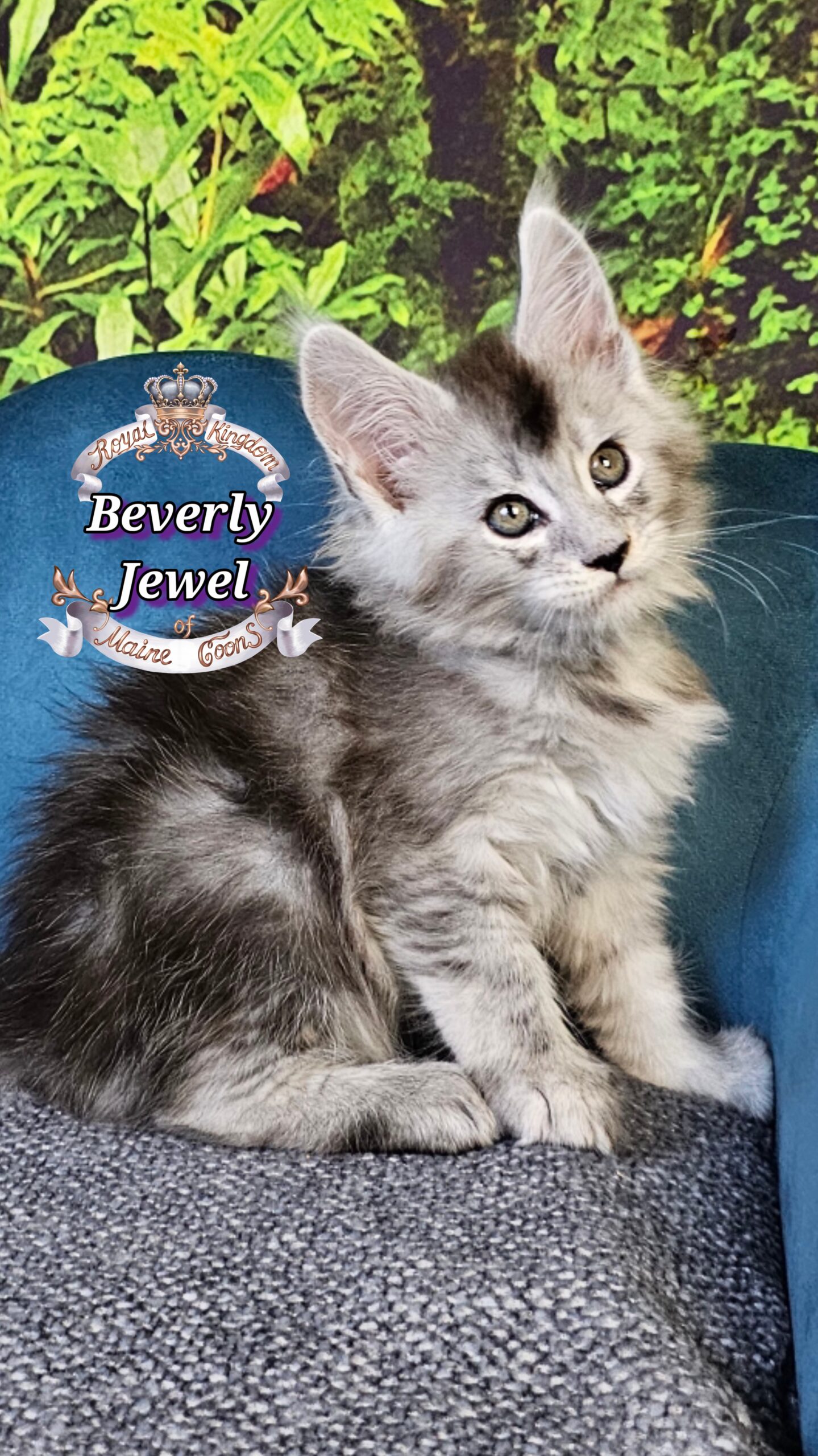 photocollage_2025101412435899