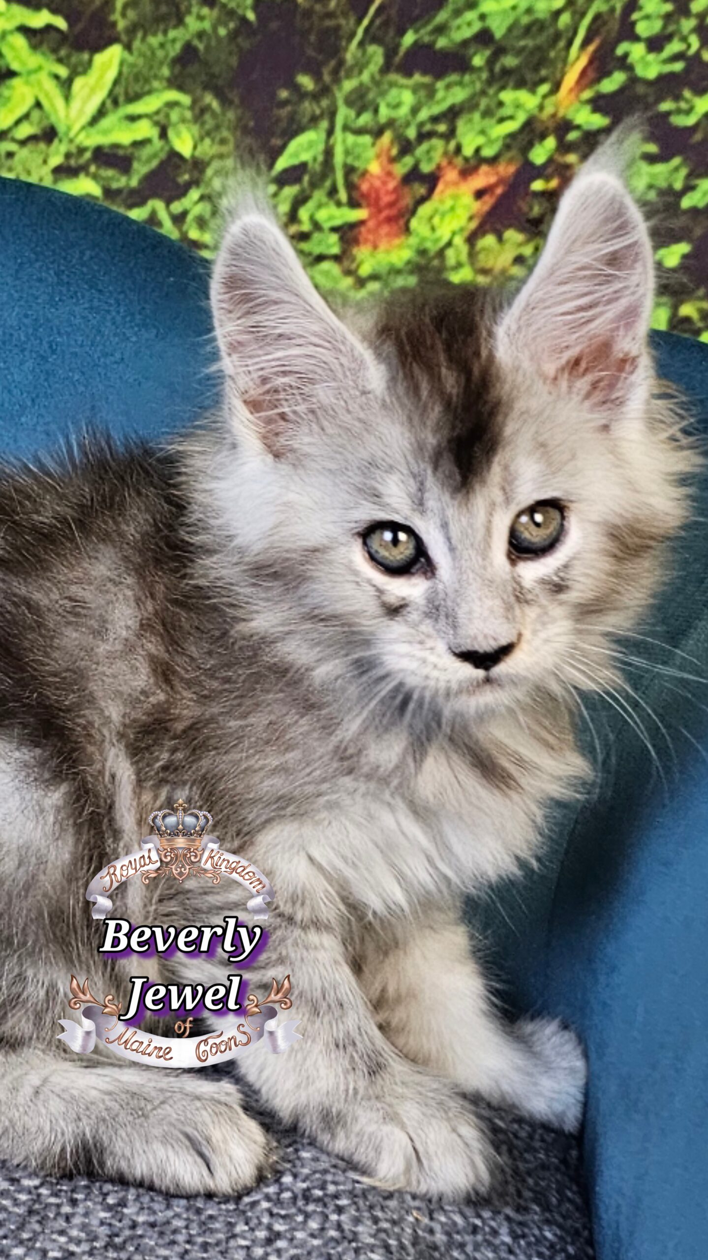 photocollage_2025101412458948