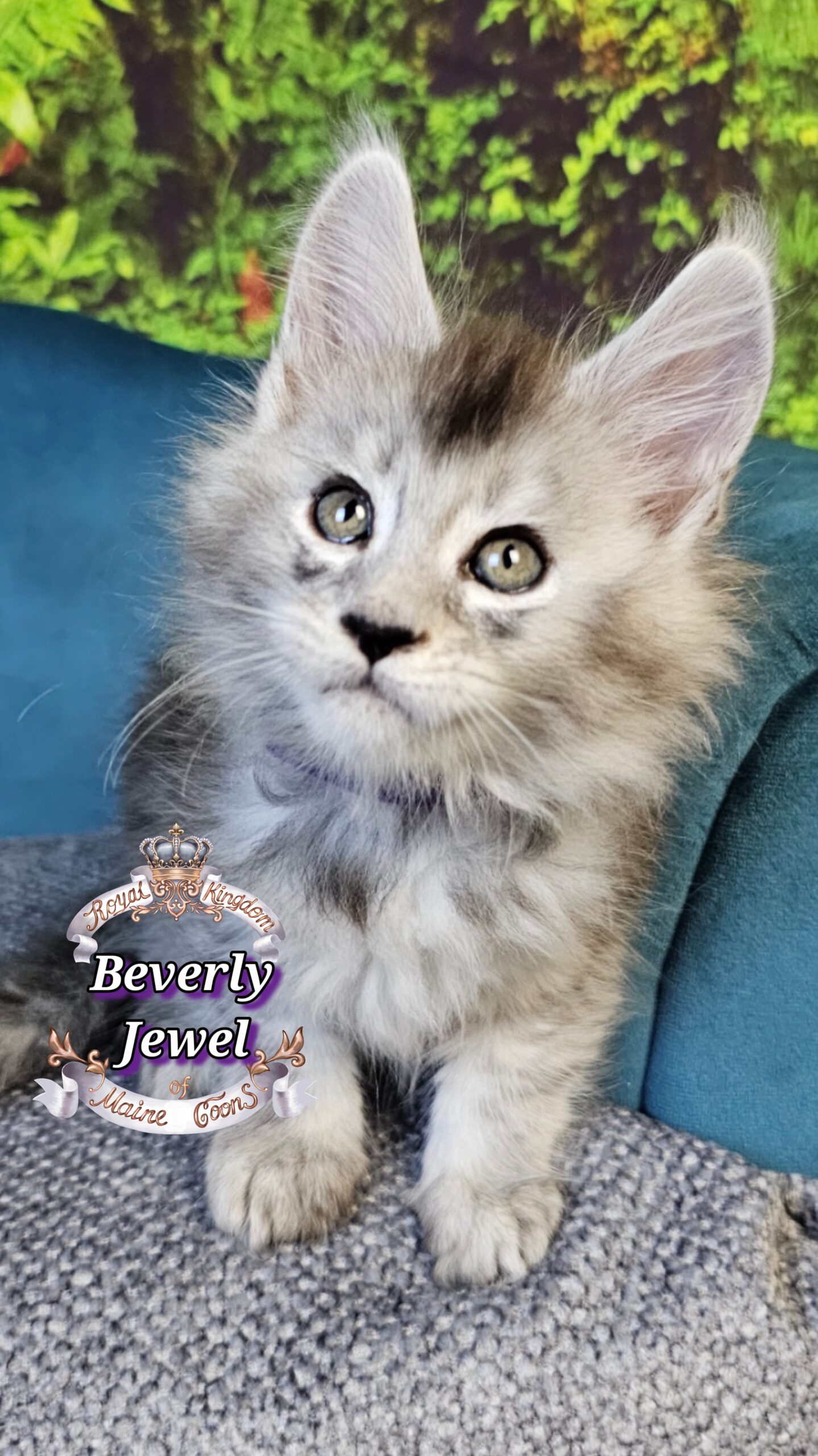 photocollage_2025101412715607