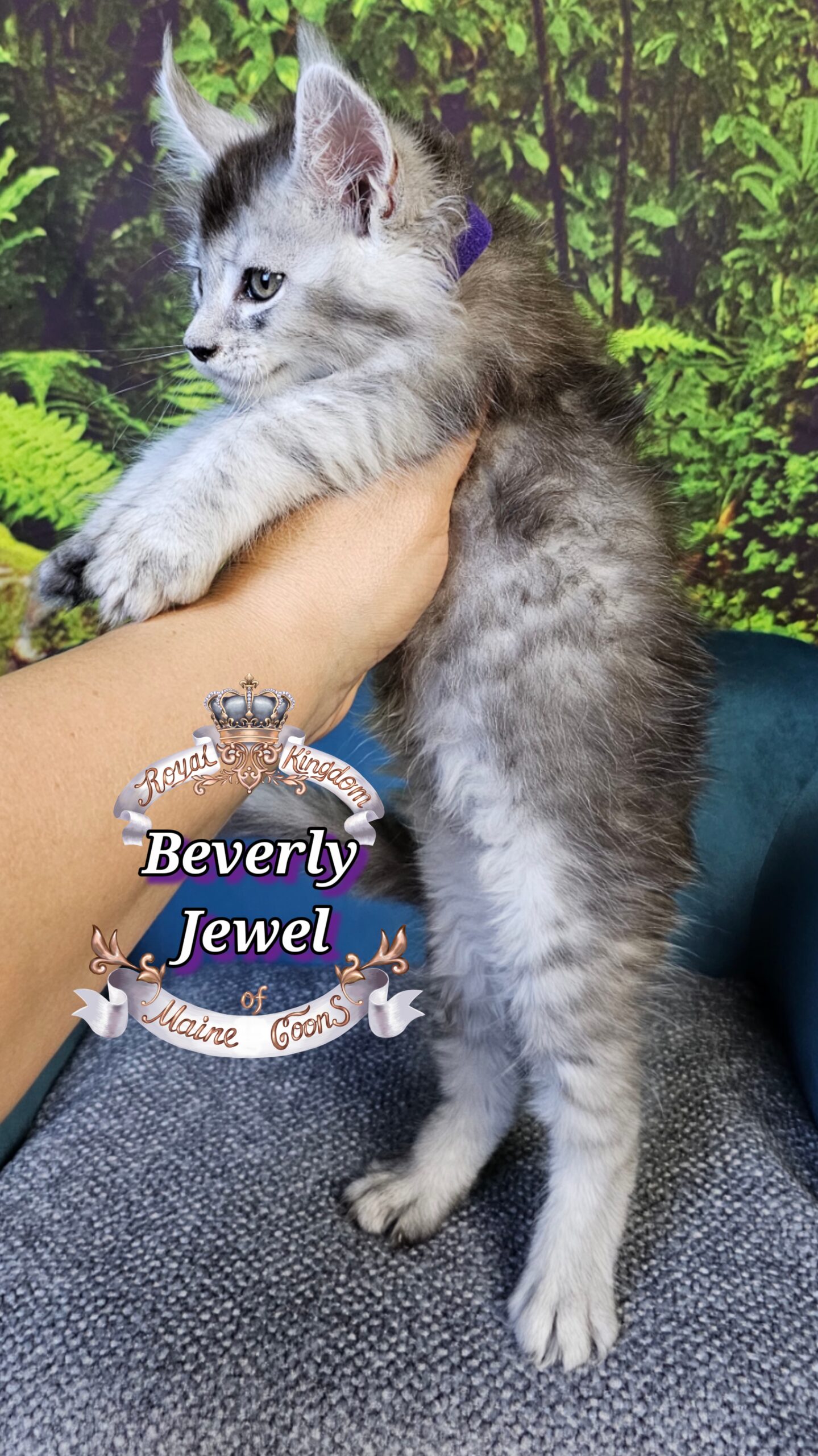 photocollage_2025101412737489