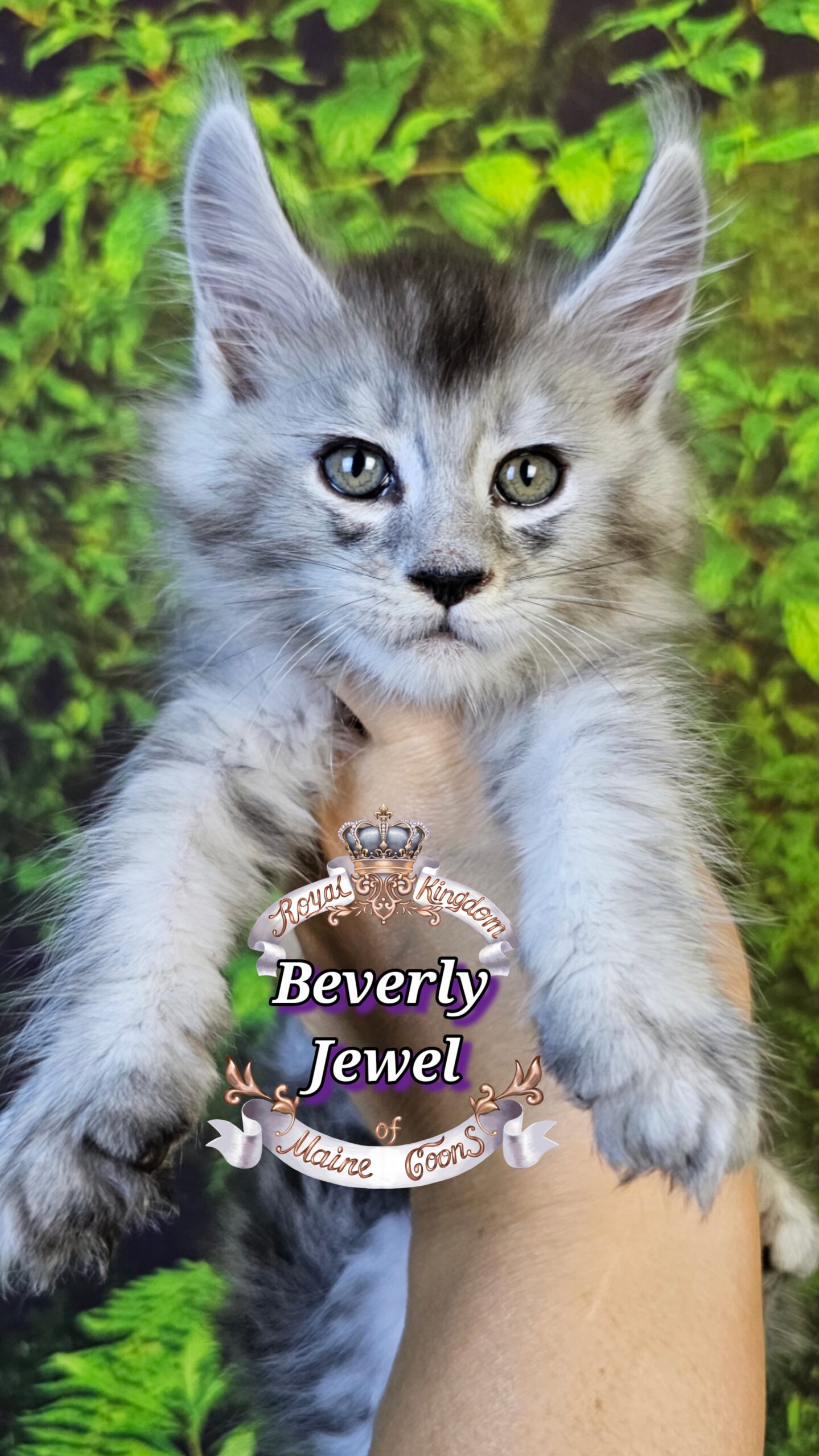 photocollage_202510141281534