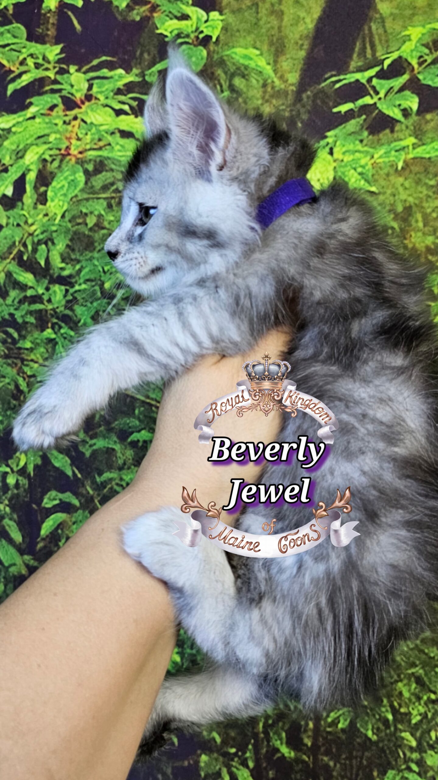 photocollage_2025101412855313