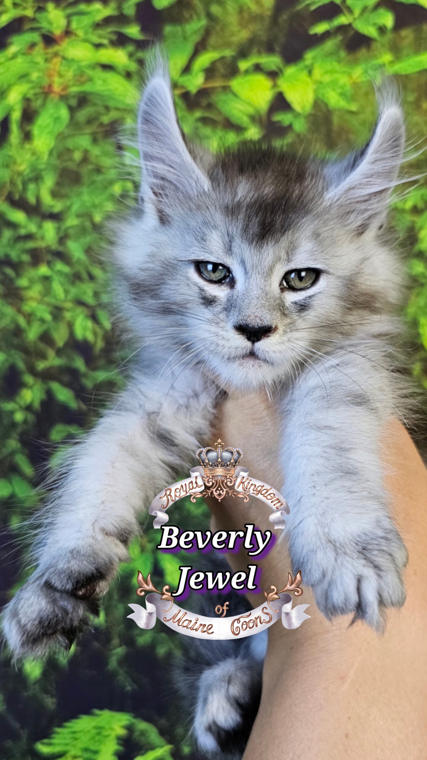 photocollage_2025101412934552