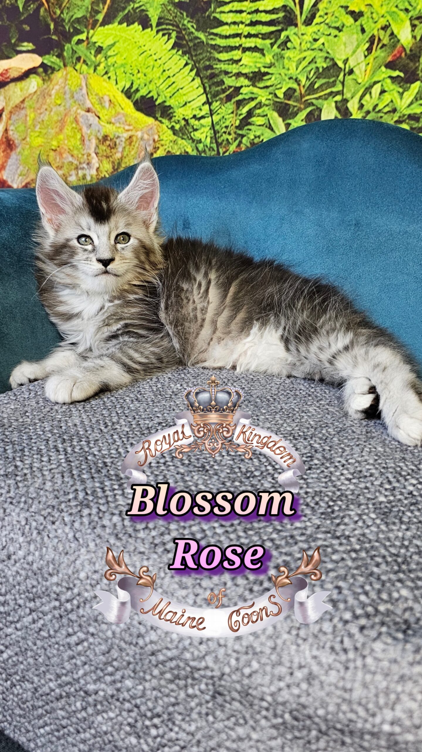 photocollage_2025101413223422