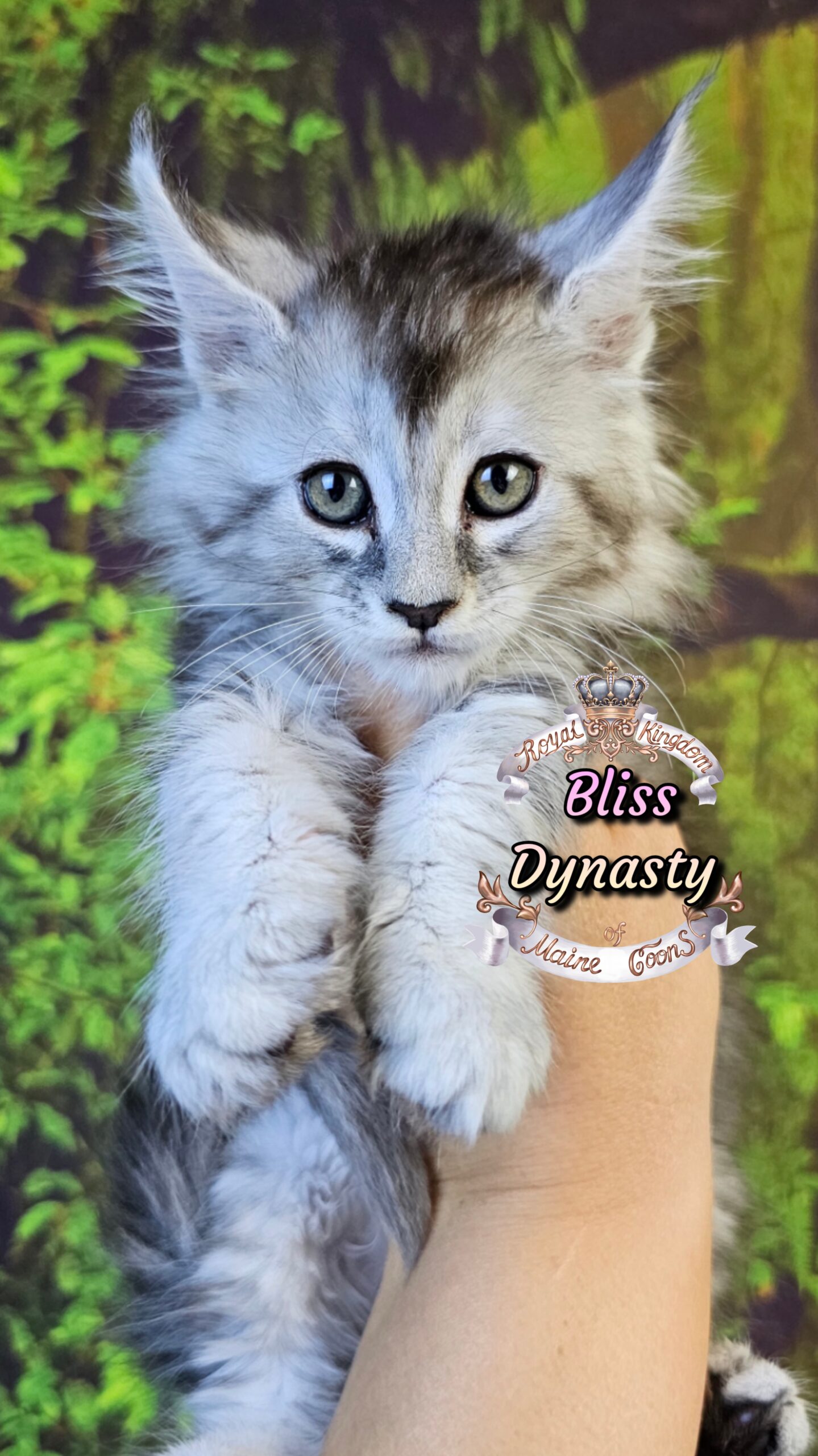 photocollage_202510141729724