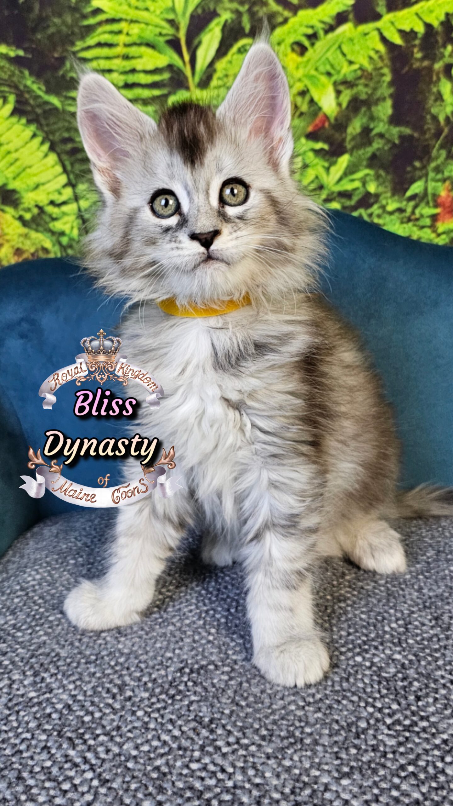 photocollage_20251014174919