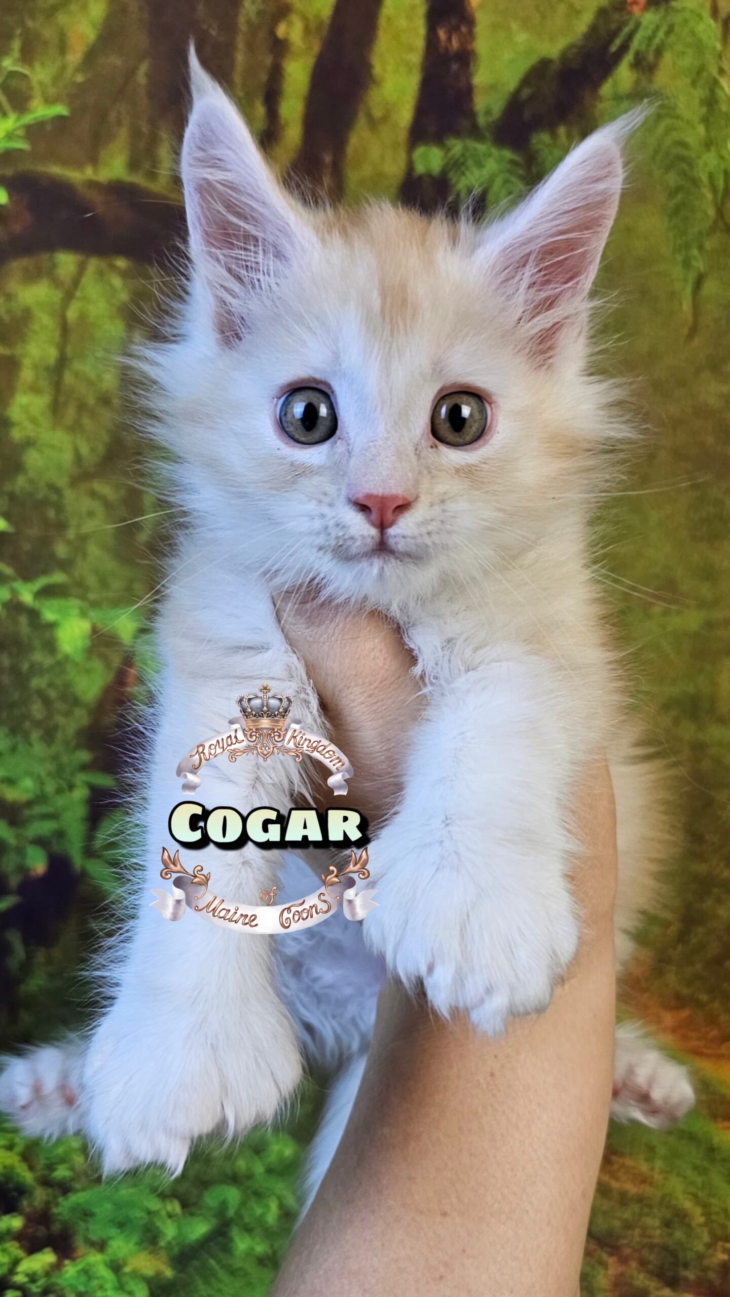 photocollage_20251025193659787