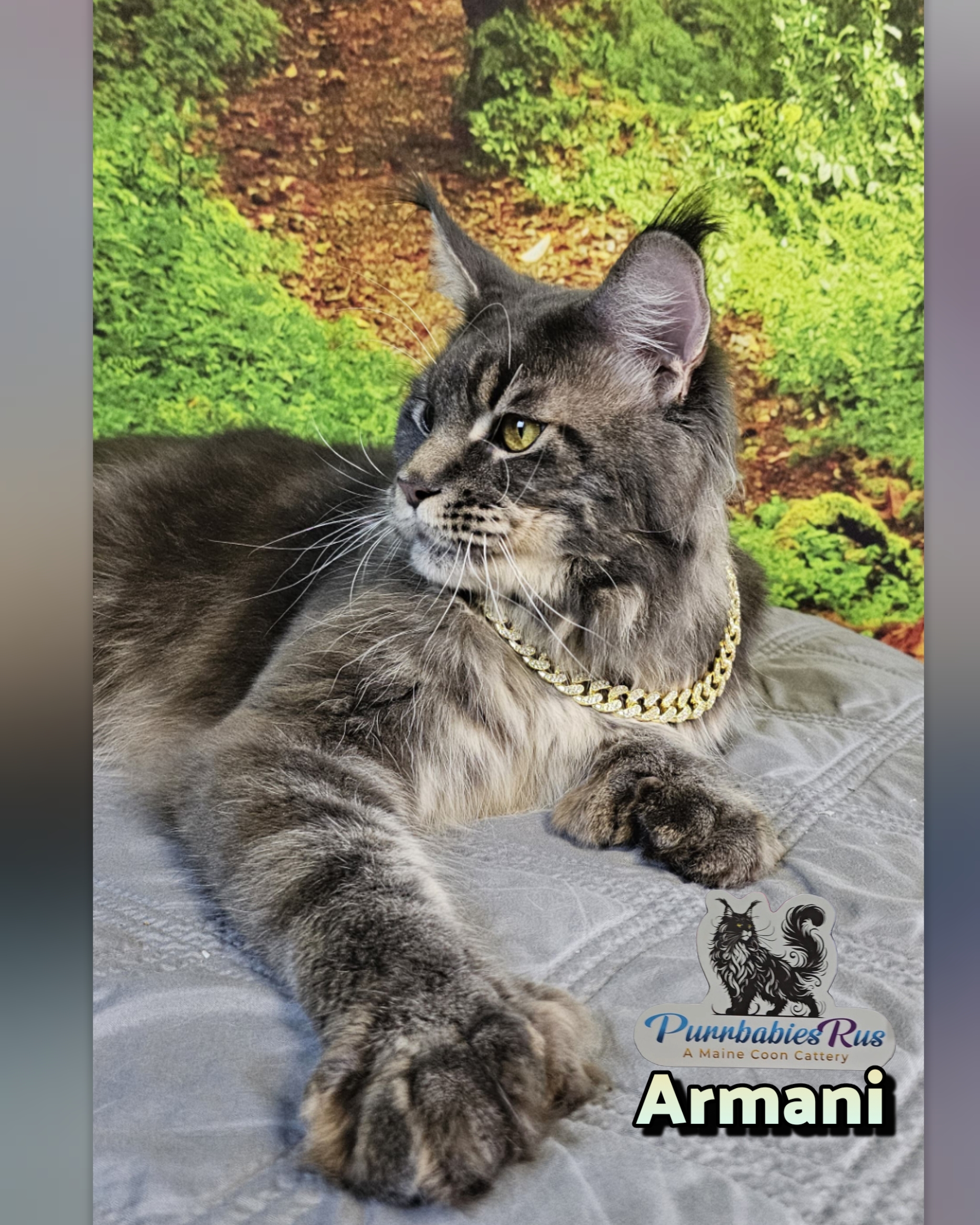 photocollage_202592302337579