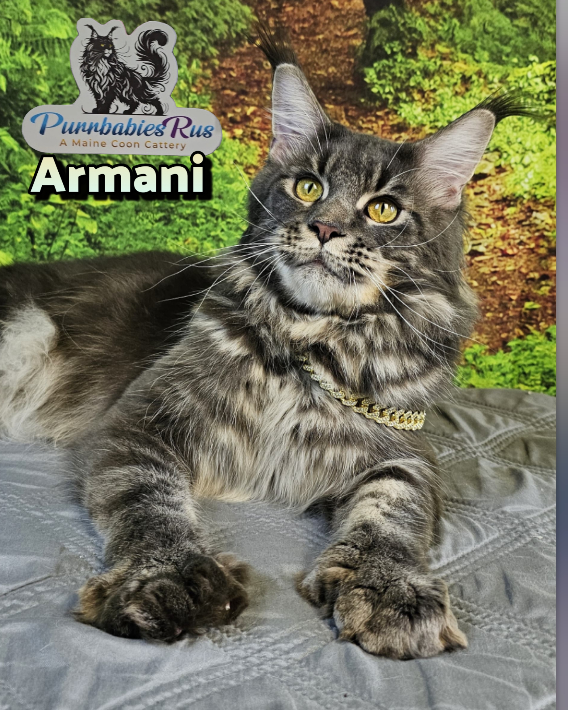 photocollage_20259230264867