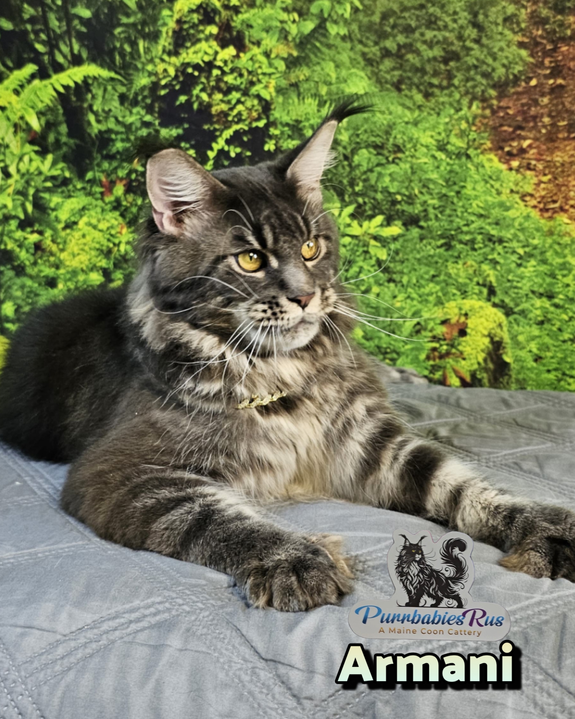 photocollage_20259230271098