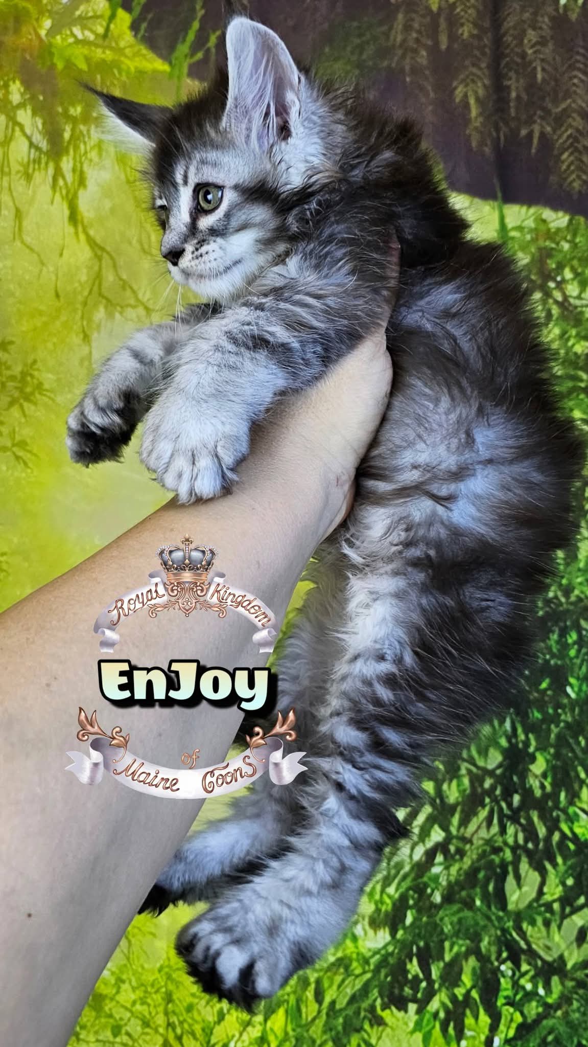 FB_IMG_1778012820166