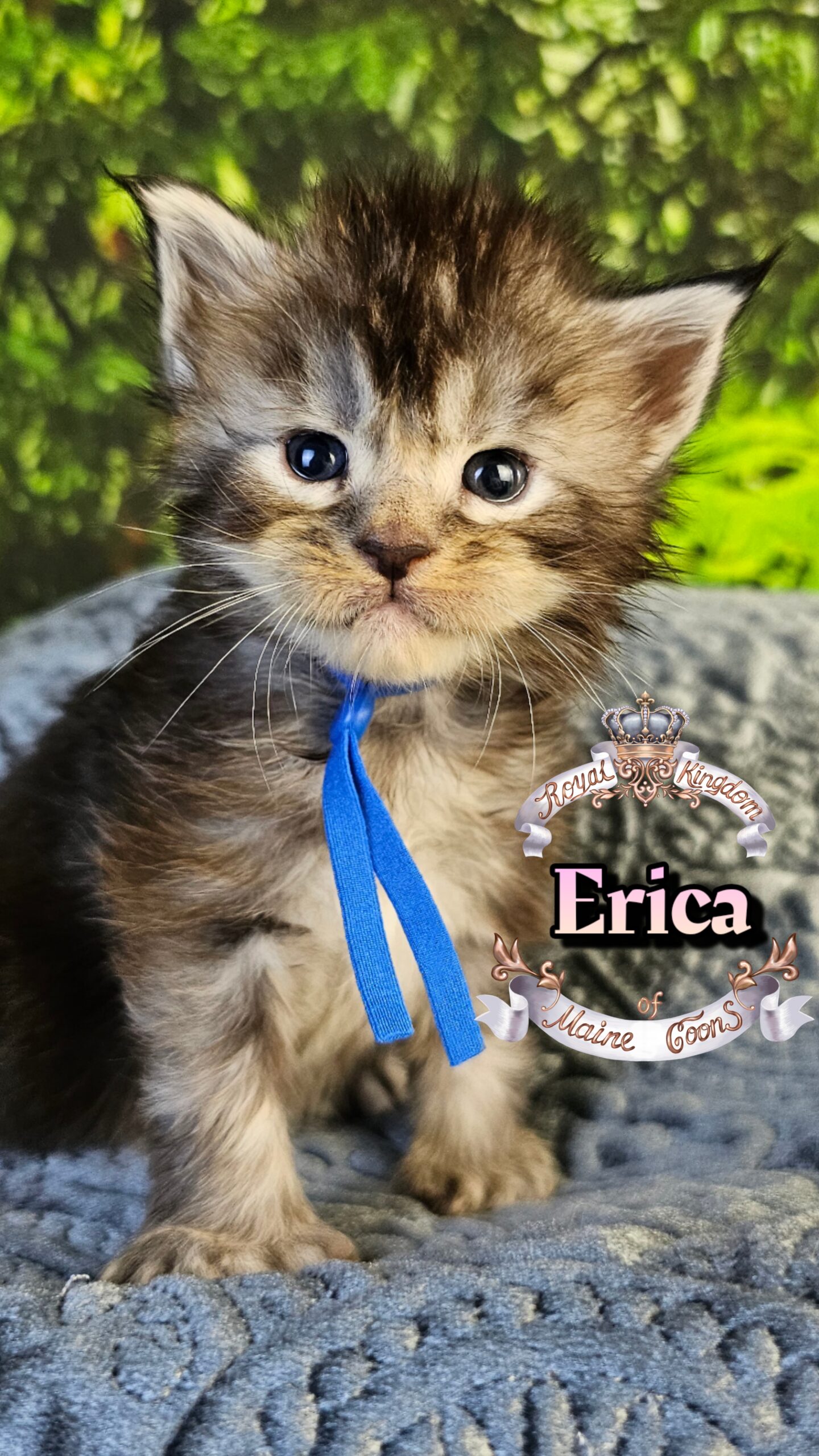 photocollage_2026330161710929