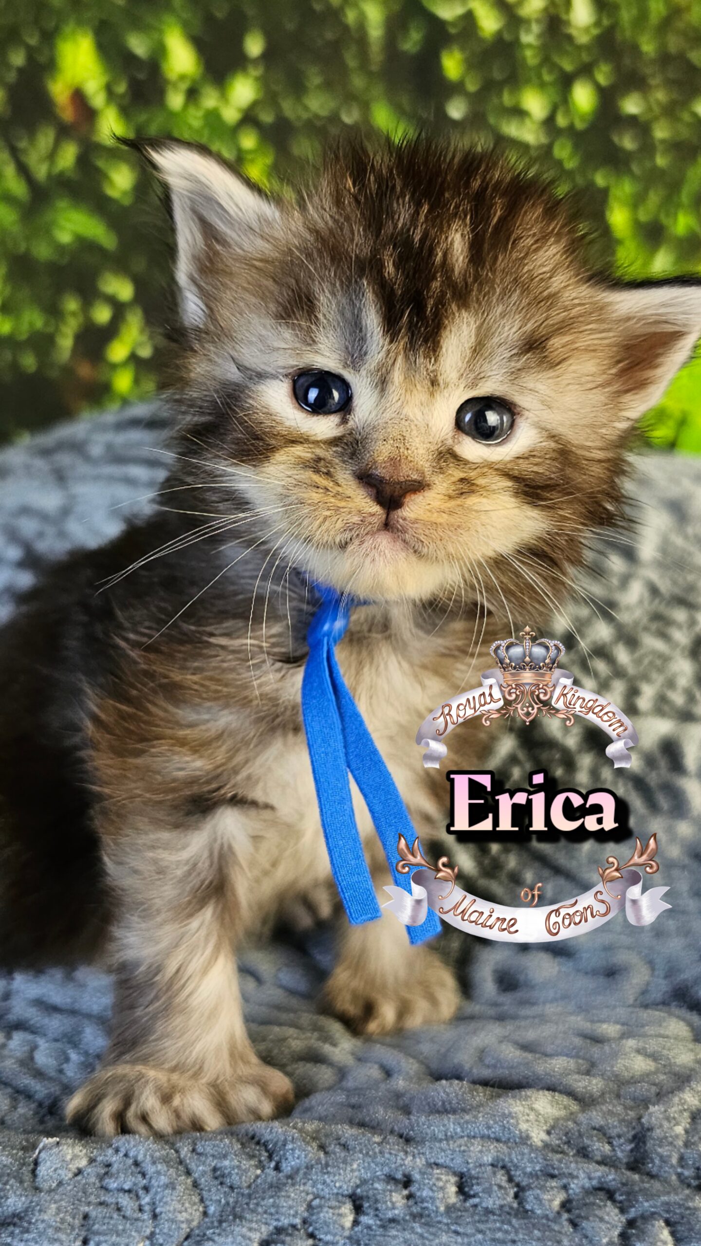 photocollage_2026330161727915