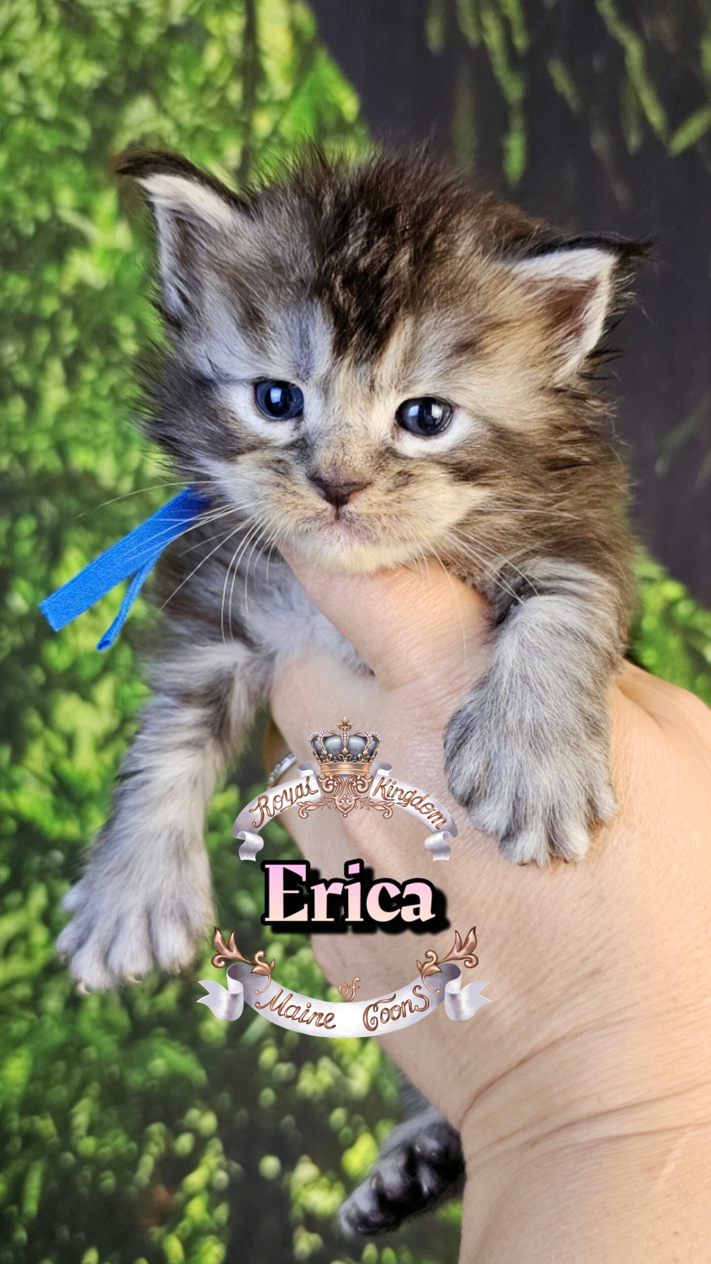 photocollage_2026330161851261