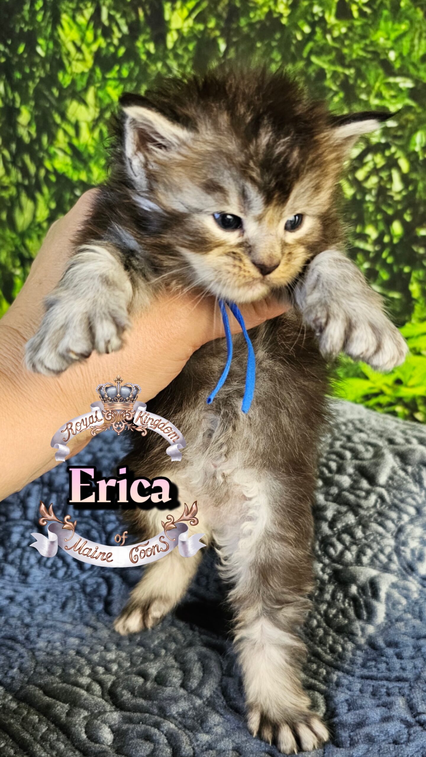 photocollage_2026330162028831