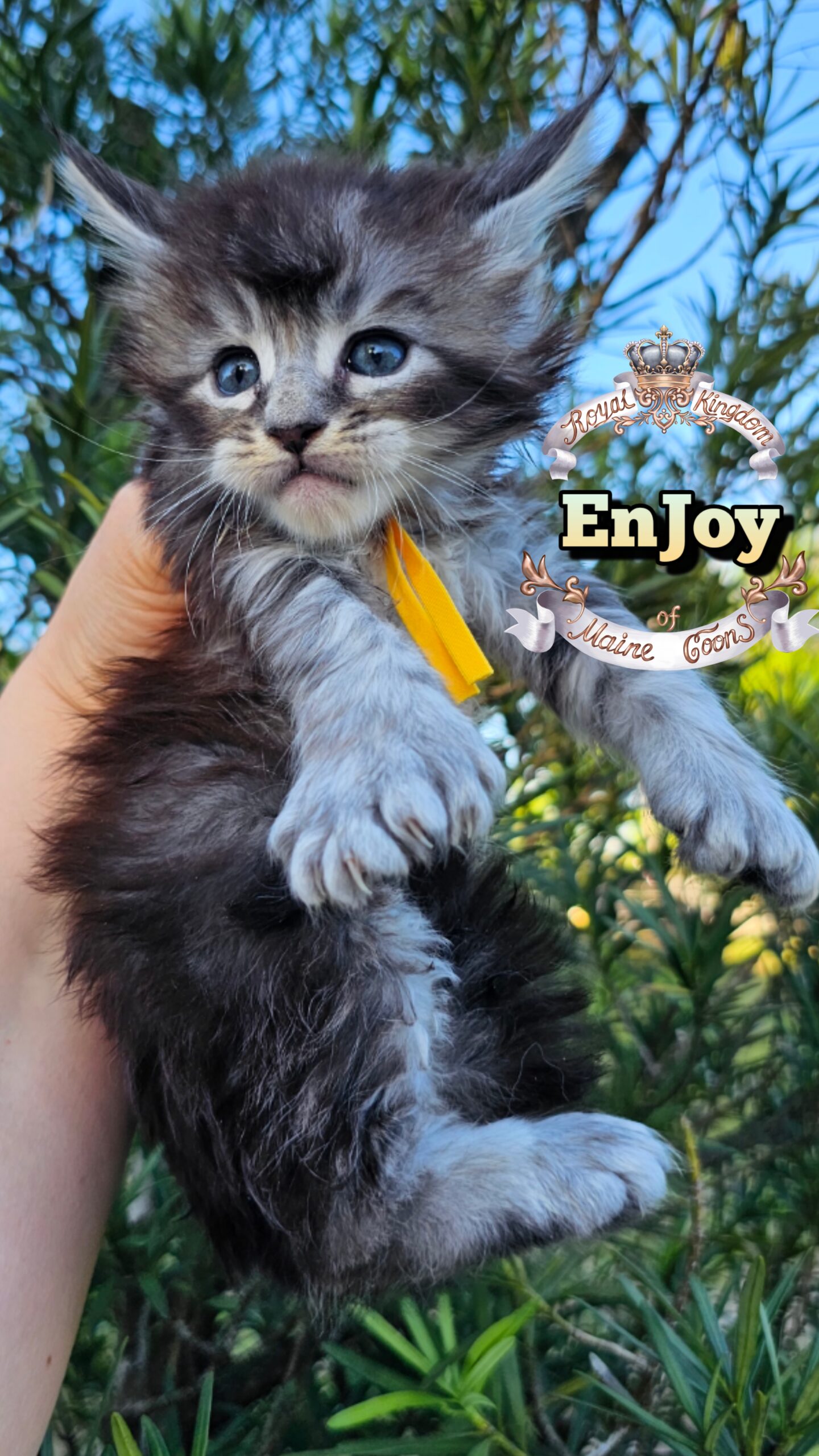 photocollage_2026492110181