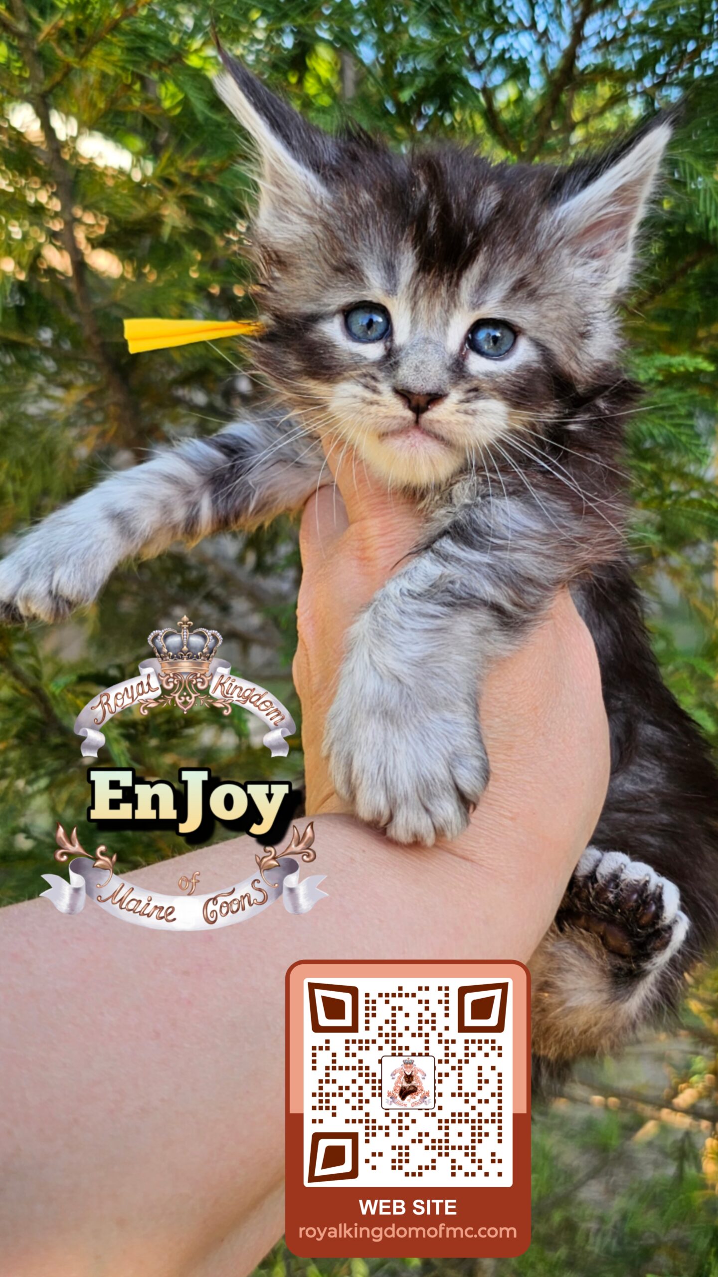 photocollage_20264921432261