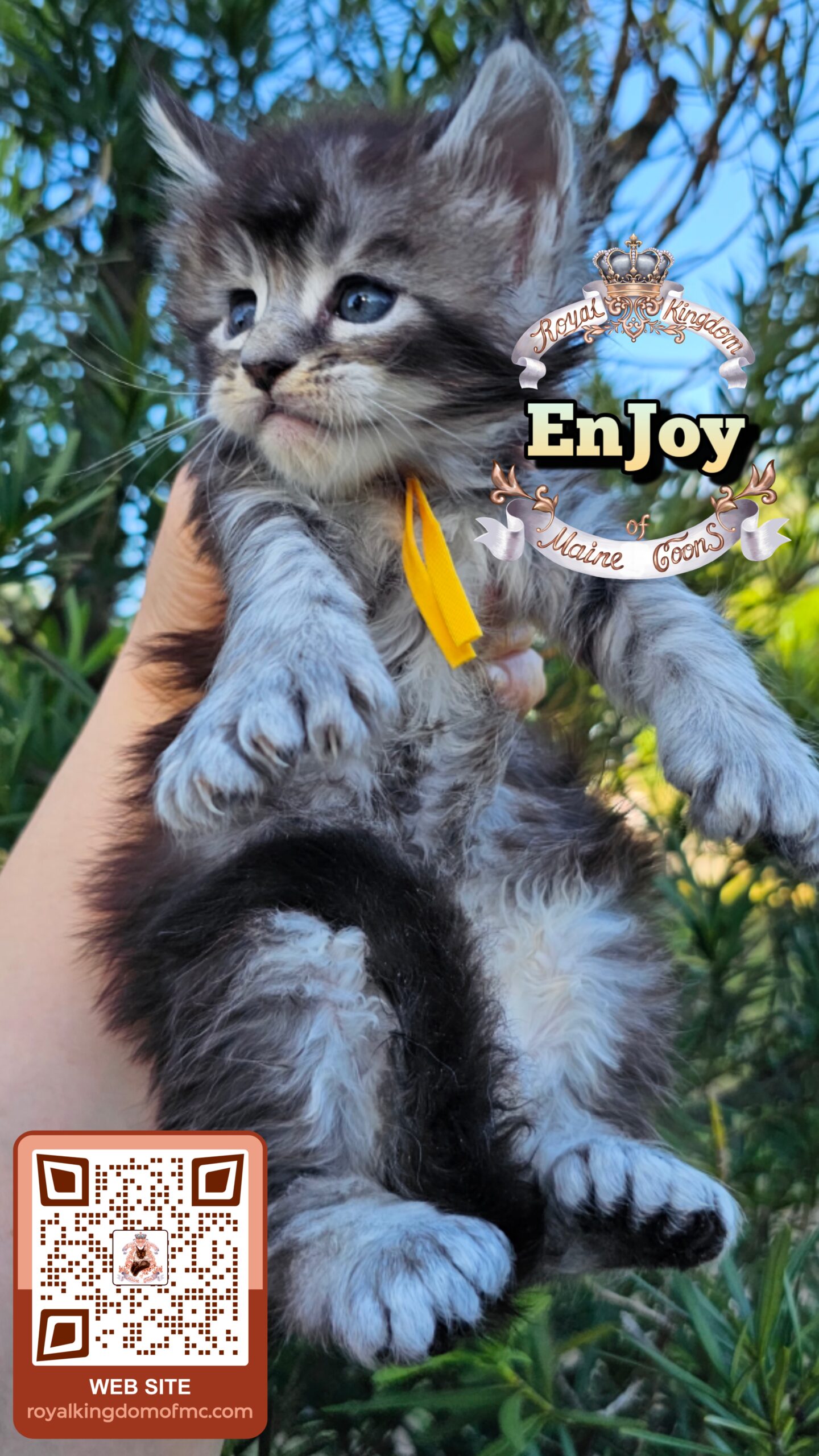 photocollage_20264921732497