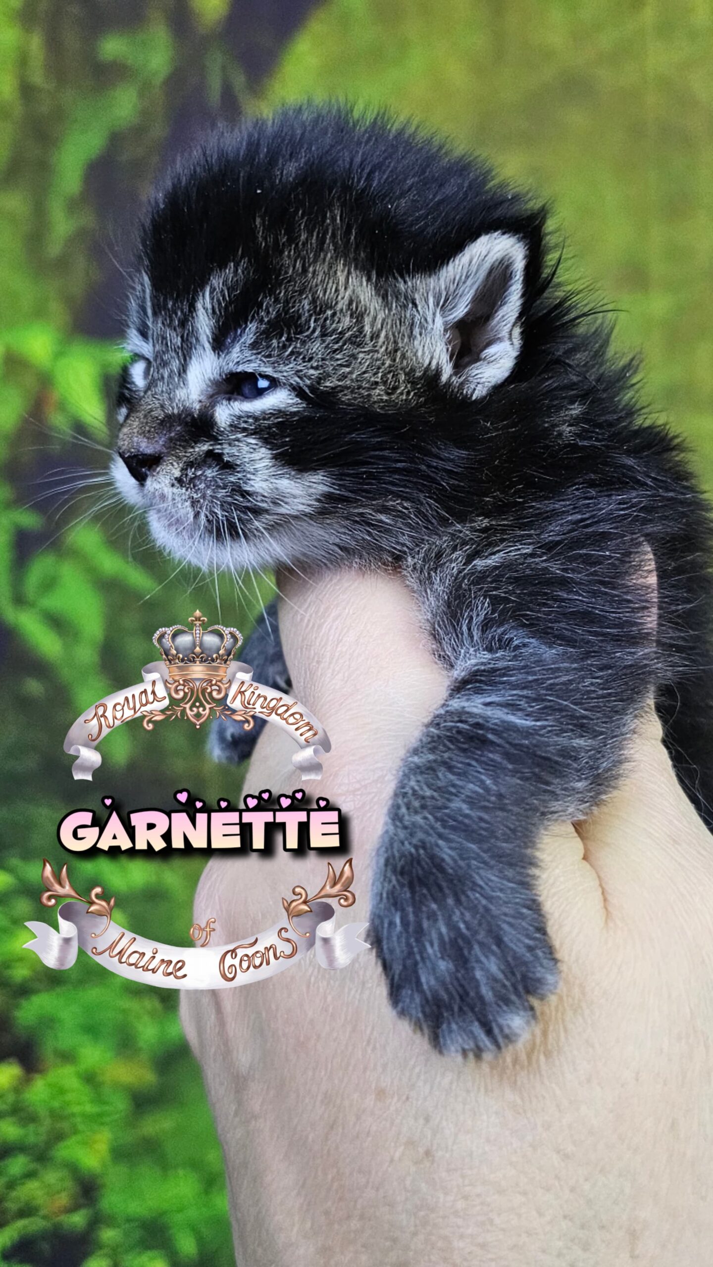 IMG-20260424-WA0025(1)