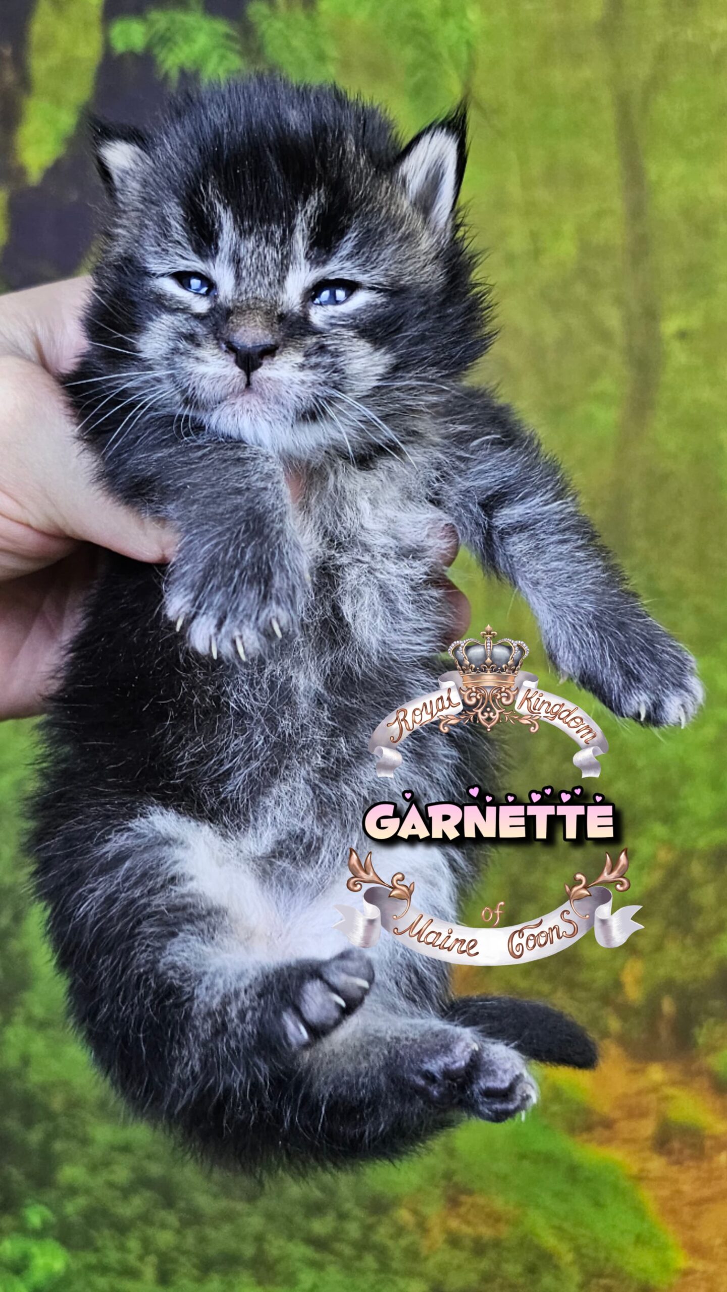 IMG-20260424-WA0032(1)