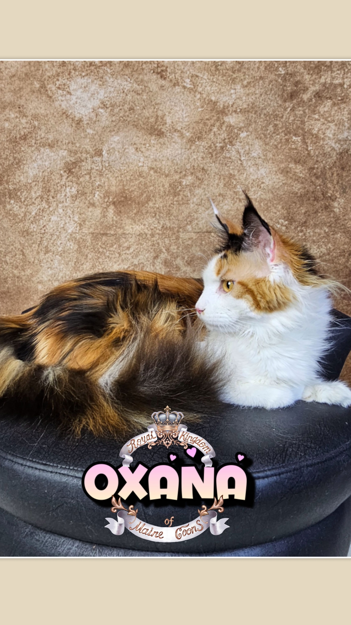 photocollage_2026482102155